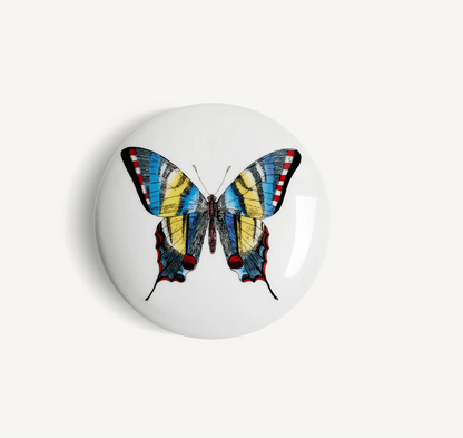 Fornasetti Round box Farfalle multicolour