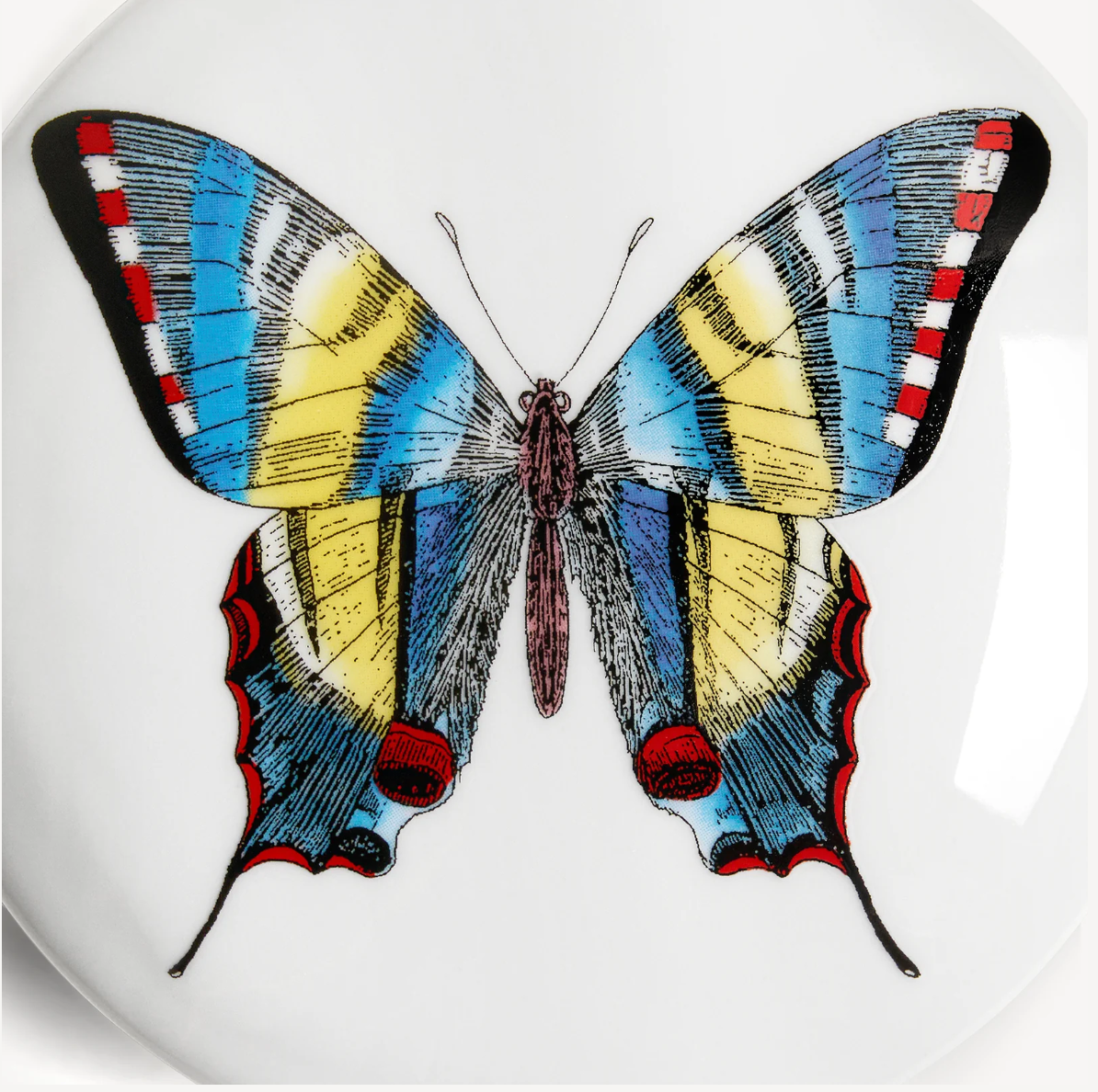 Fornasetti Round box Farfalle multicolour