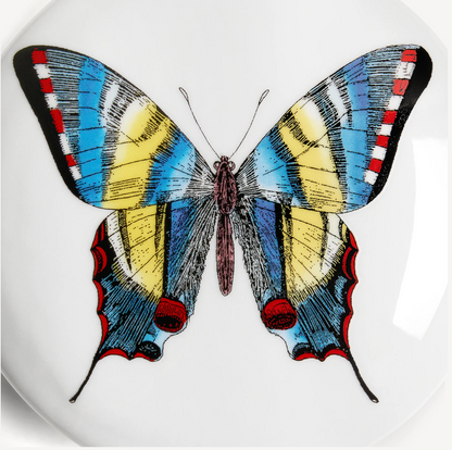 Fornasetti Round box Farfalle multicolour