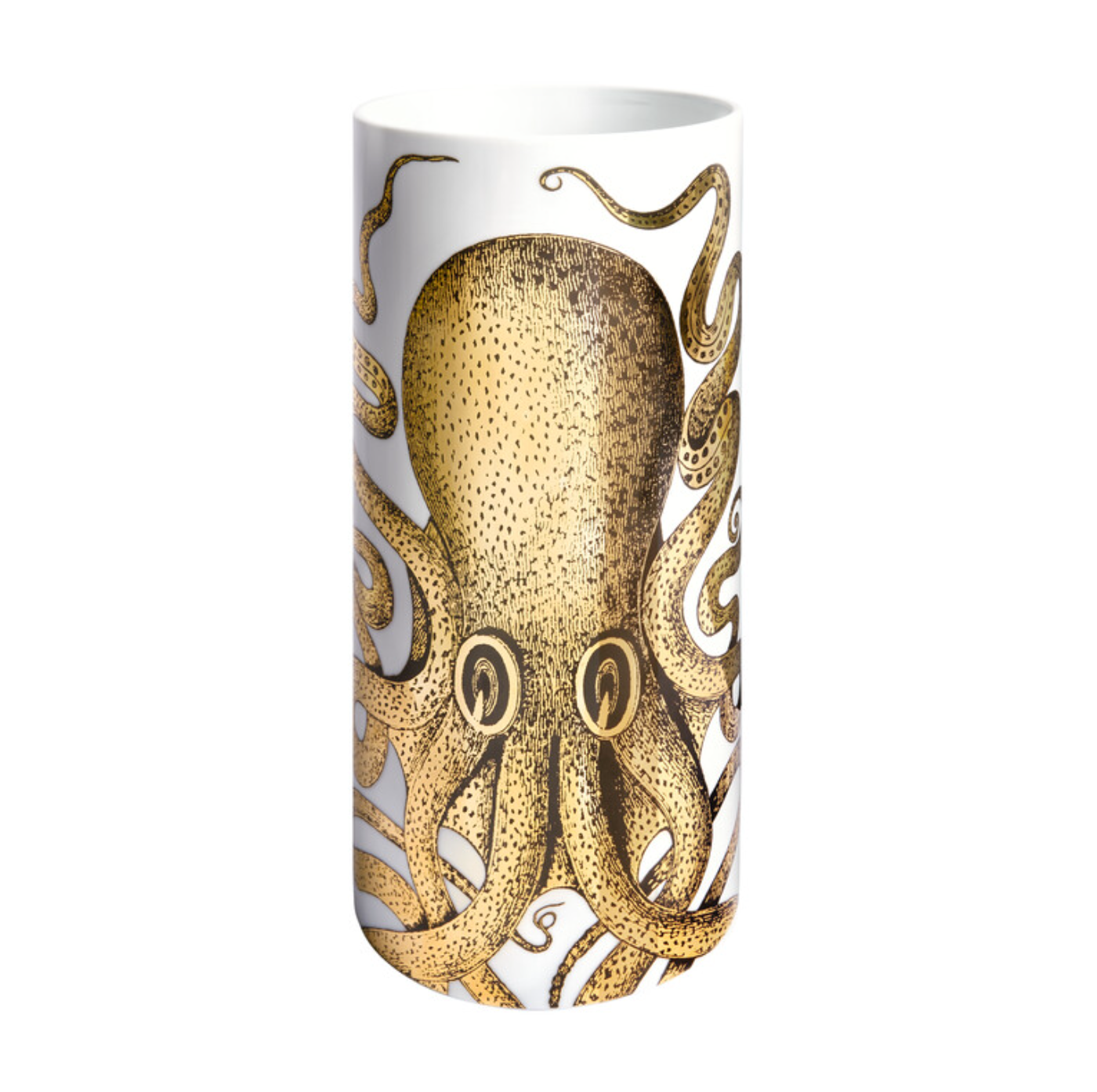 Fornasetti Medium Cylindrical Vase Polipo with gold
