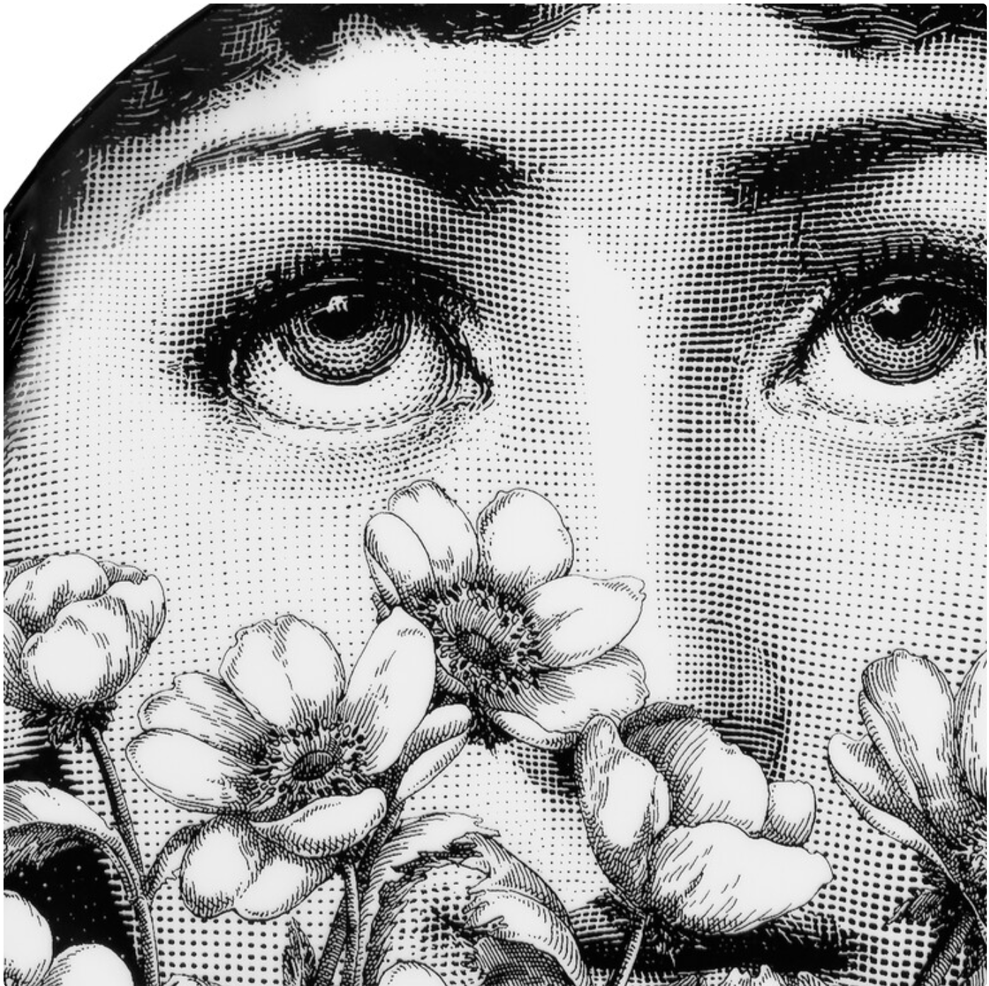 Fornasetti  Wall Plate T&V 410