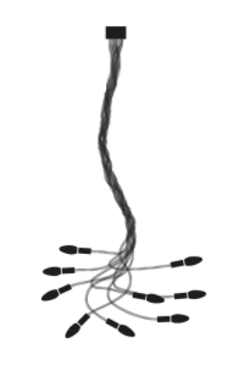 Catellani&Smith, Turciu' 9