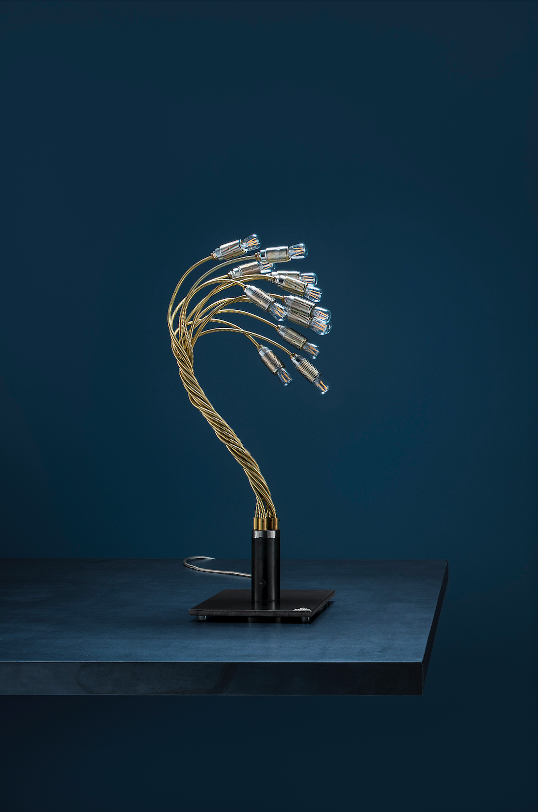 Catellani&Smith, Bonsai