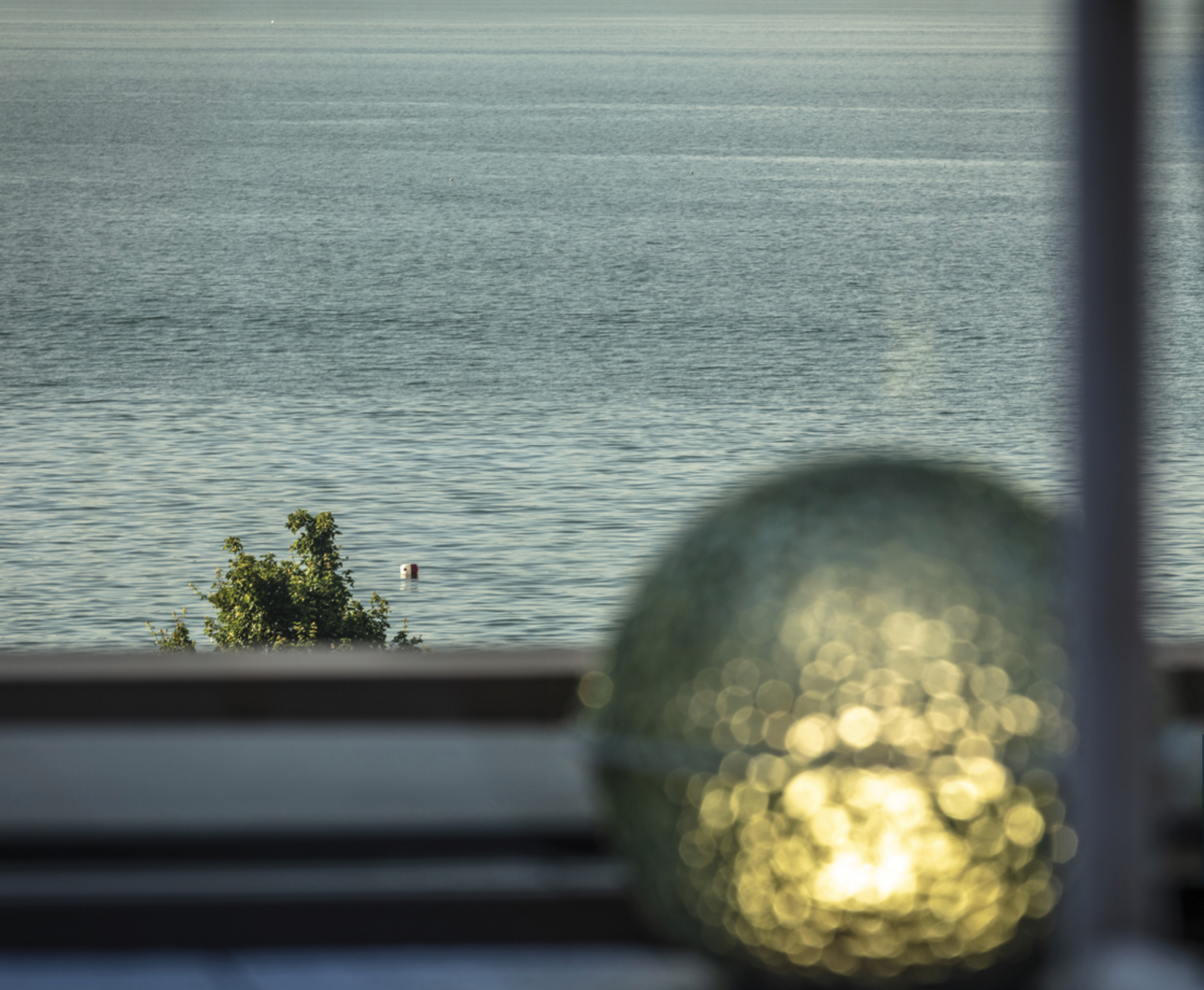 Catellani&Smith, Medousê (Outdoor) - Milk Concept Boutique