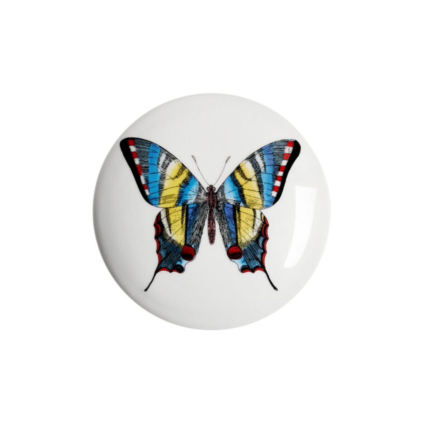Fornasetti Round box Farfalle multicolour