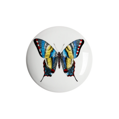 Fornasetti Round box Farfalle multicolour