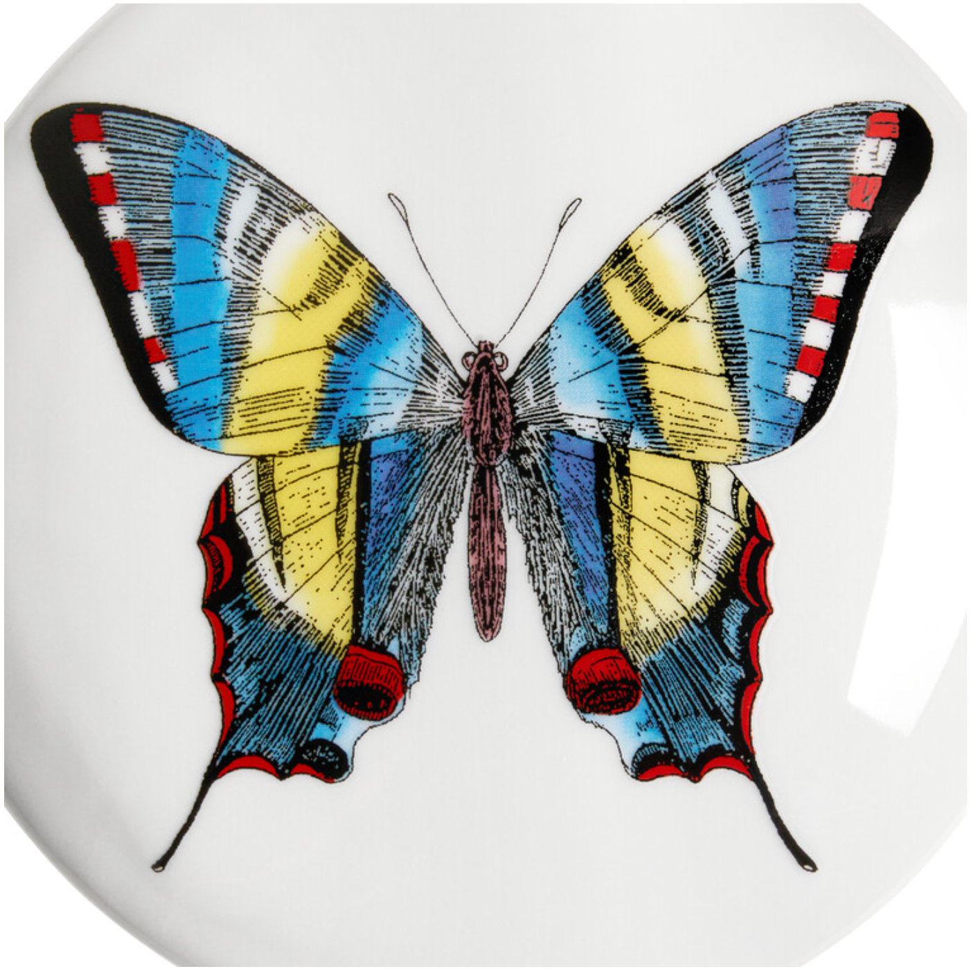 Fornasetti Round box Farfalle multicolour