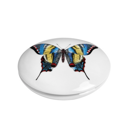 Fornasetti Round box Farfalle multicolour