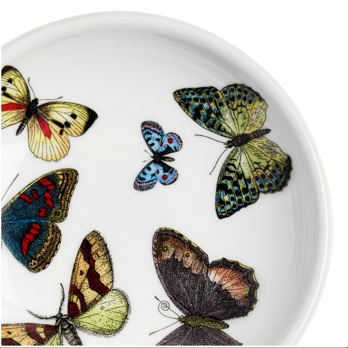 Fornasetti Round ashtray Farfalle multicolour