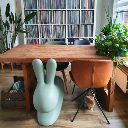 Rabbit Chair by Stefano Giovannoni