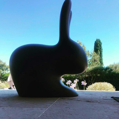 Rabbit Chair by Stefano Giovannoni