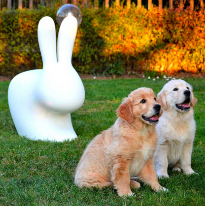 Rabbit Chair by Stefano Giovannoni