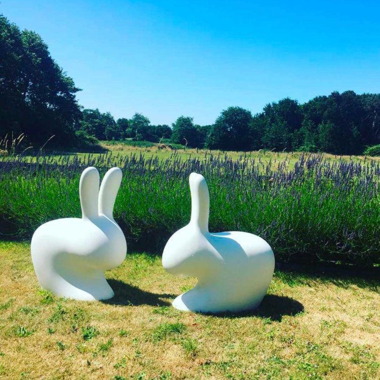 Rabbit Chair by Stefano Giovannoni