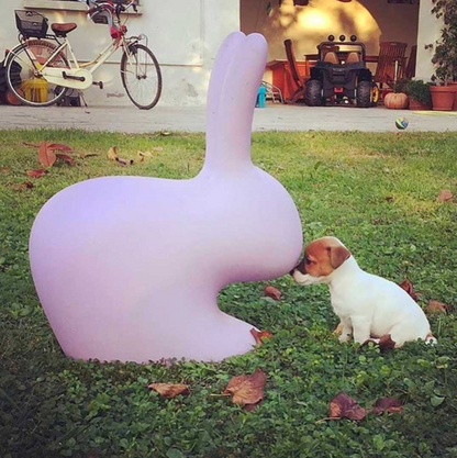 Rabbit Chair by Stefano Giovannoni
