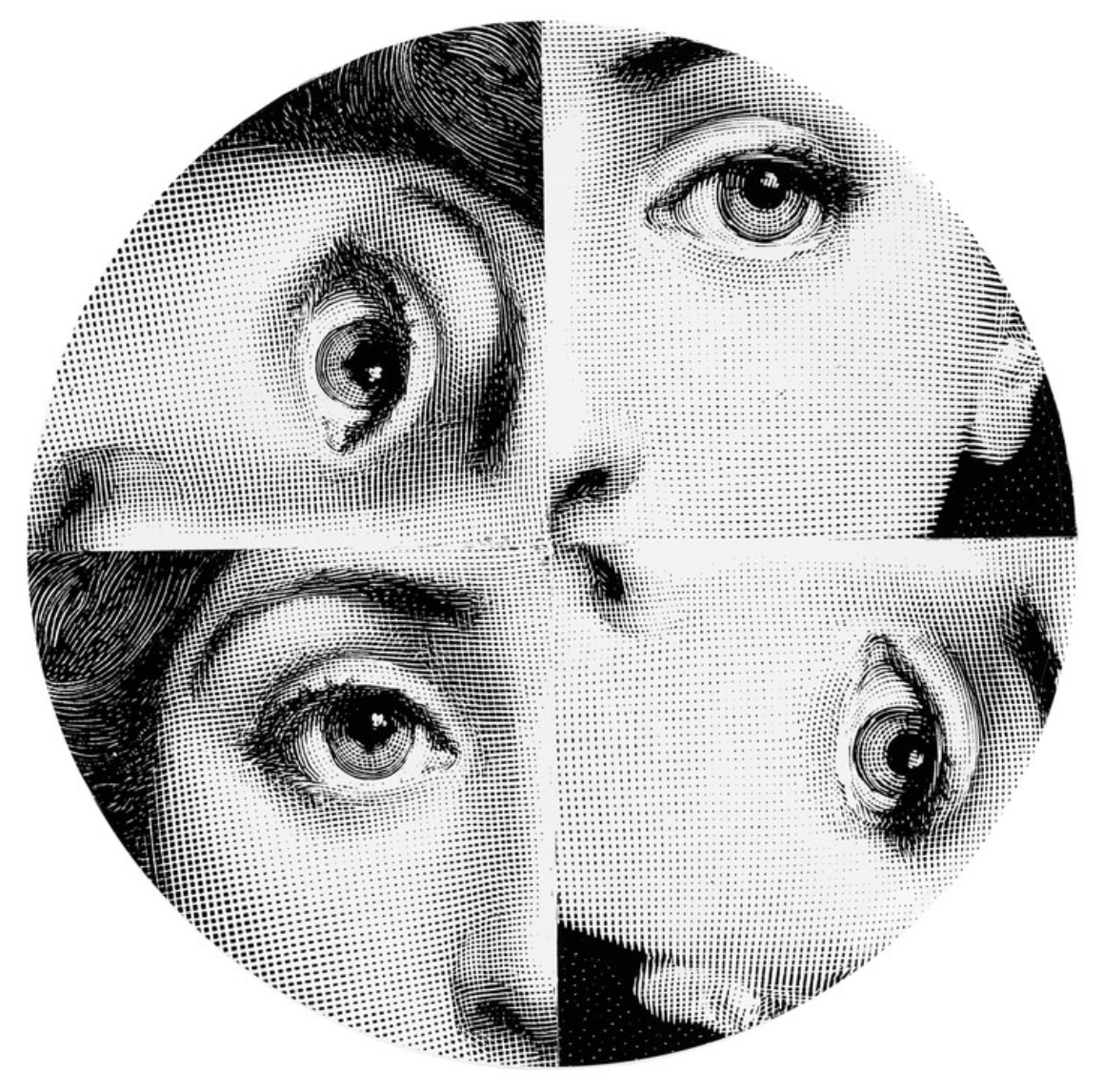 Fornasetti  wall plate T&V 244 - Milk Concept Boutique